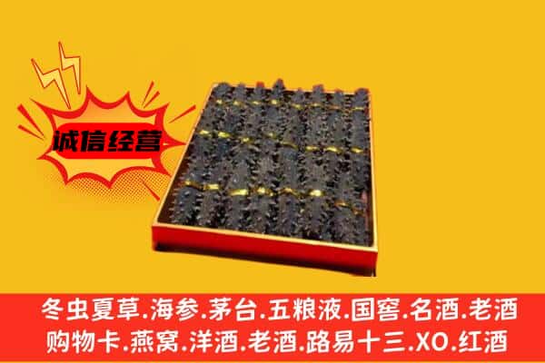 邵武市回收海参